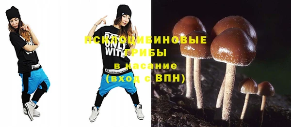 дурь Балахна